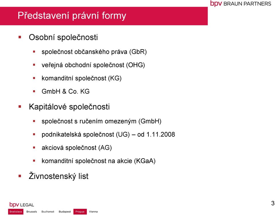 KG Kapitálové společnosti společnost s ručením omezeným (GmbH) podnikatelská