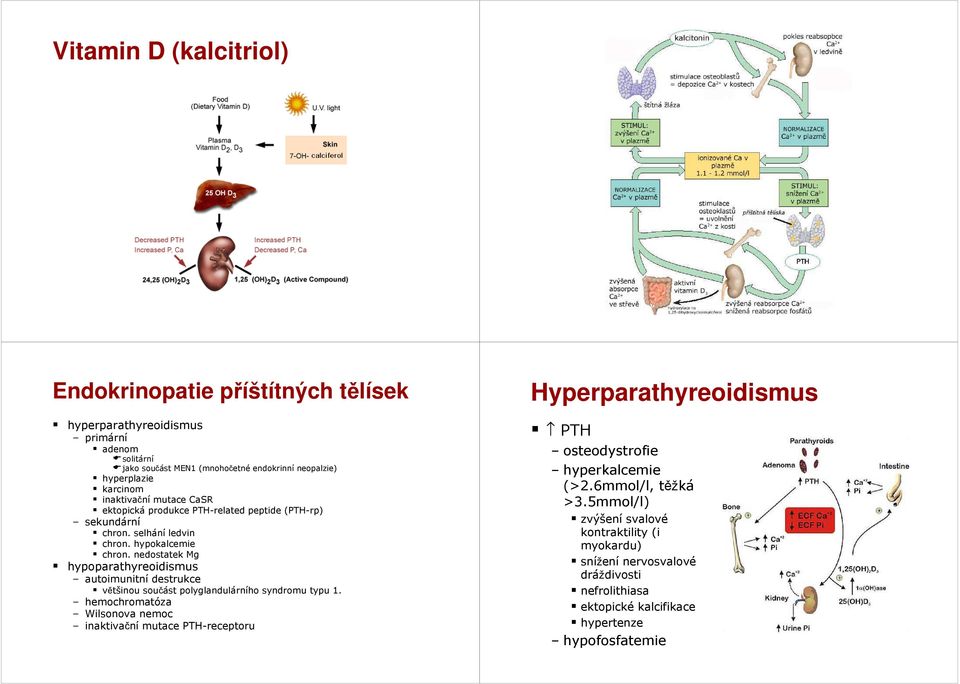 nedostatek Mg hypoparathyreoidismus autoimunitní destrukce většinou součást polyglandulárního syndromu typu 1.