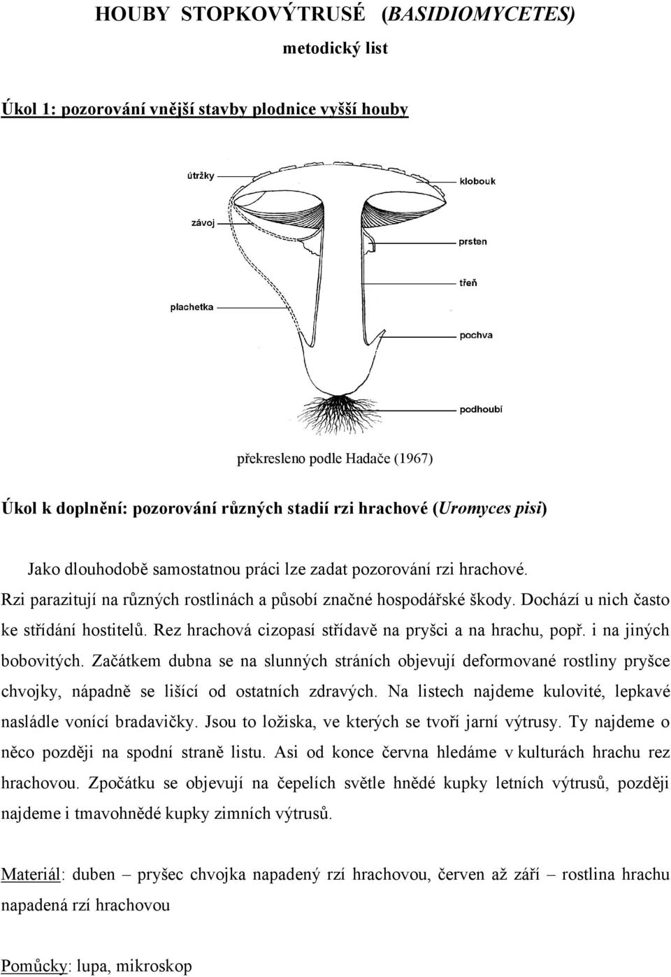 Rez hrachová cizopasí střídavě na pryšci a na hrachu, popř. i na jiných bobovitých.