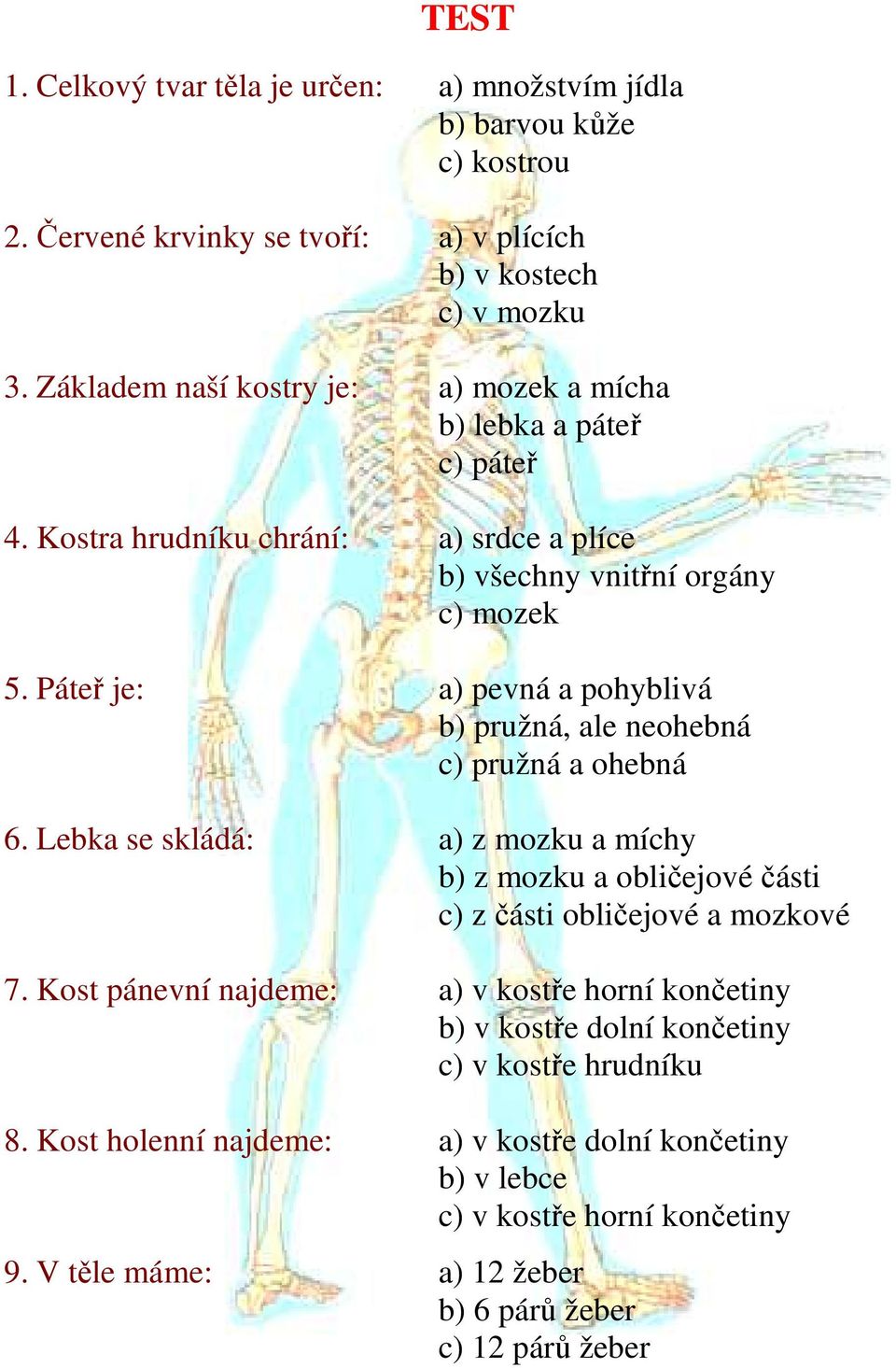 Páteř je: a) pevná a pohyblivá b) pružná, ale neohebná c) pružná a ohebná 6. Lebka se skládá: a) z mozku a míchy b) z mozku a obličejové části c) z části obličejové a mozkové 7.