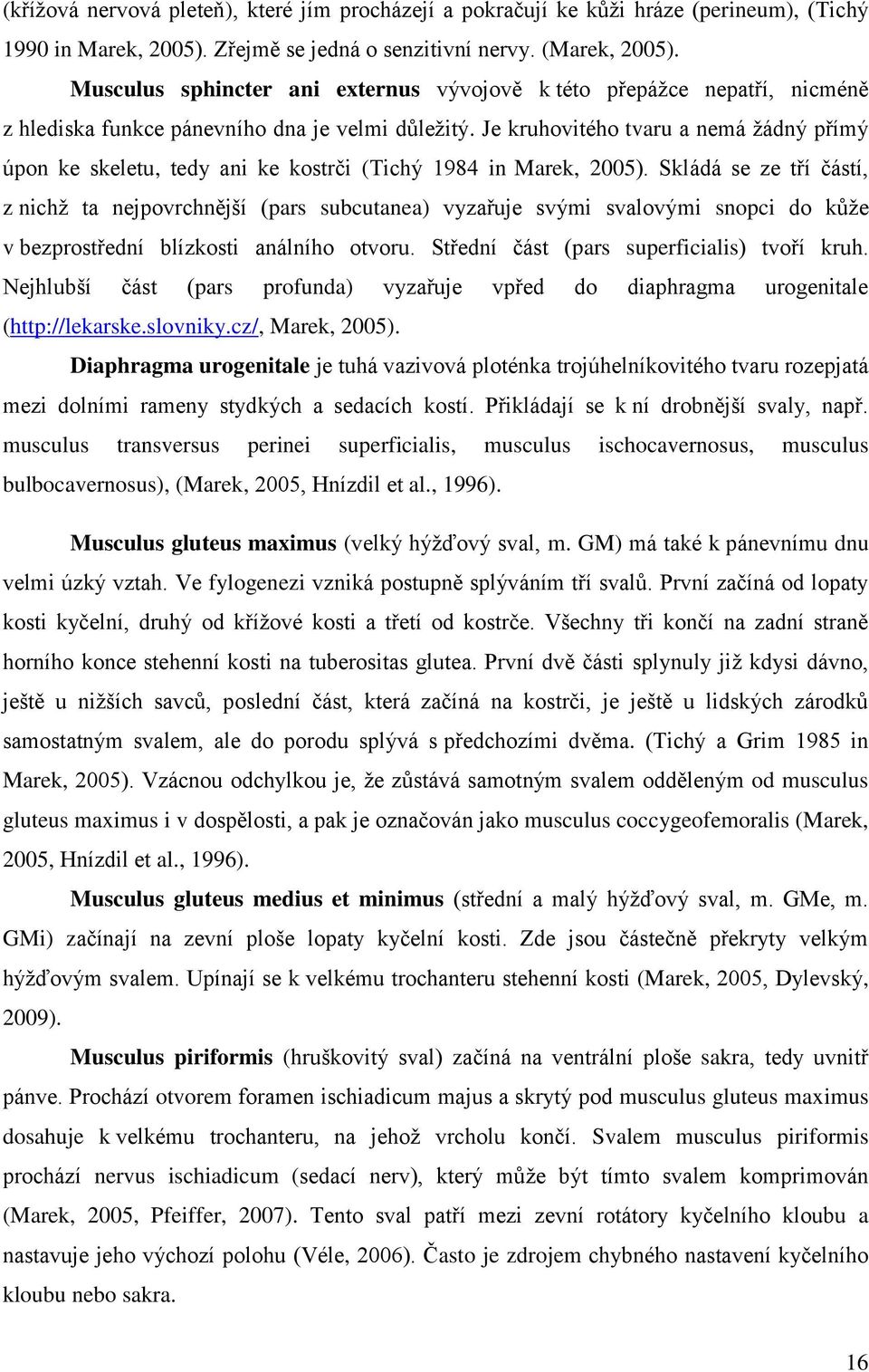 Je kruhovitého tvaru a nemá žádný přímý úpon ke skeletu, tedy ani ke kostrči (Tichý 1984 in Marek, 2005).