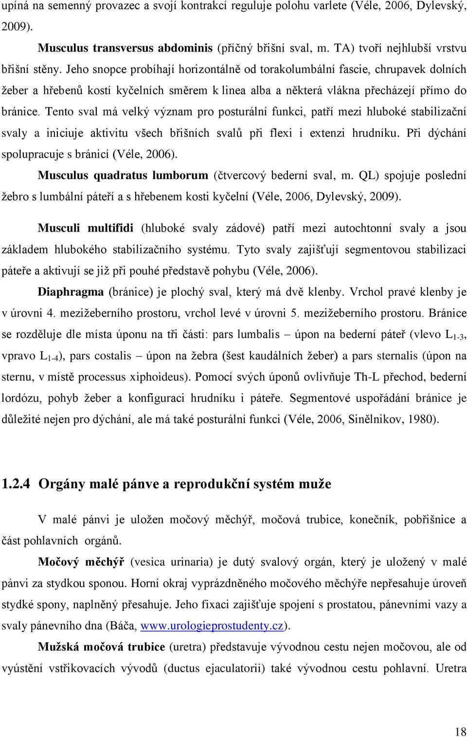 Tento sval má velký význam pro posturální funkci, patří mezi hluboké stabilizační svaly a iniciuje aktivitu všech břišních svalů při flexi i extenzi hrudníku.