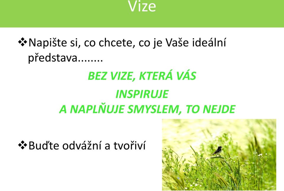 .. BEZ VIZE, KTERÁ VÁS INSPIRUJE A