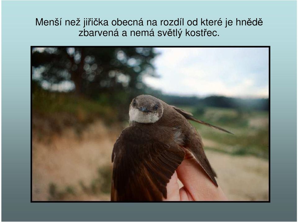 které je hnědě