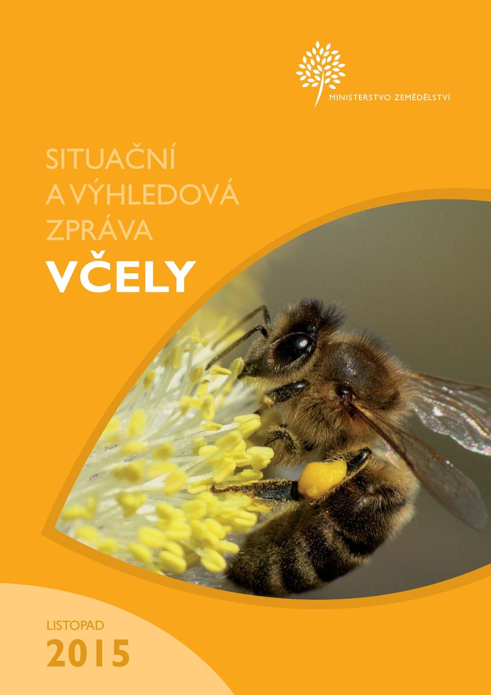 ZPRÁVA