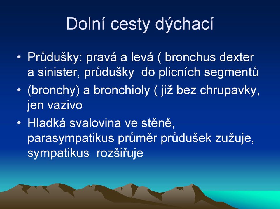 bronchioly ( již bez chrupavky, jen vazivo Hladká svalovina