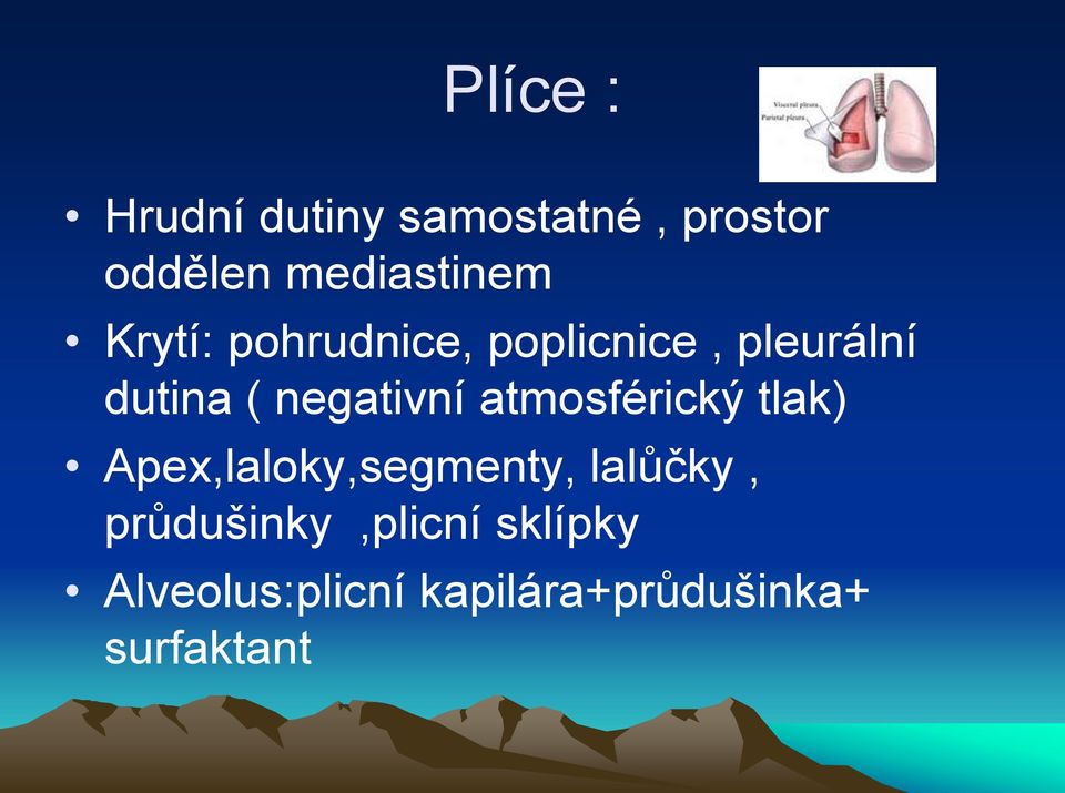 atmosférický tlak) Apex,laloky,segmenty, lalůčky,