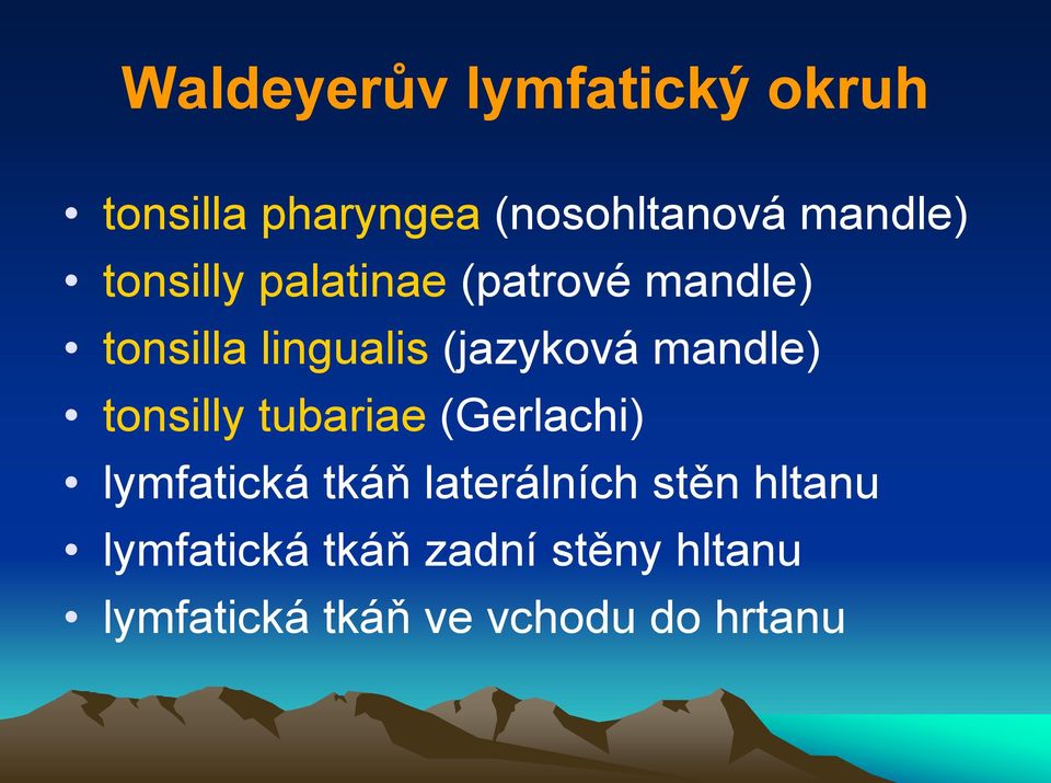 mandle) tonsilly tubariae (Gerlachi) lymfatická tkáň laterálních stěn