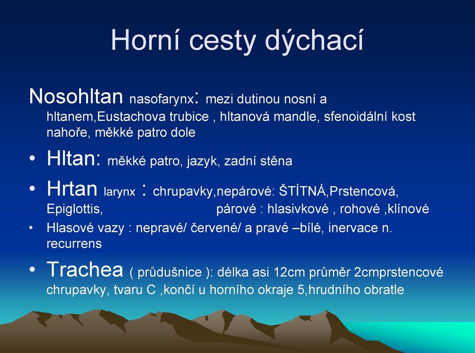 ŠTÍTNÁ,Prstencová, Epiglottis, párové : hlasivkové, rohové,klínové Hlasové vazy : nepravé/ červené/ a pravé bílé,