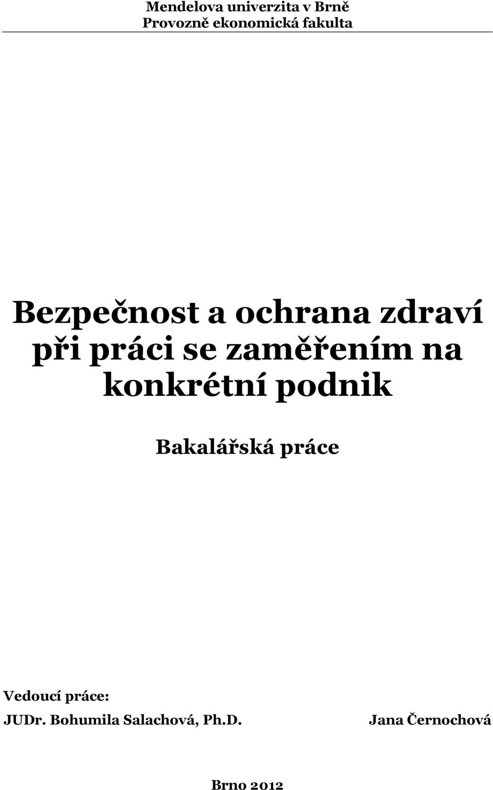 zaměřením na konkrétní podnik Bakalářská práce