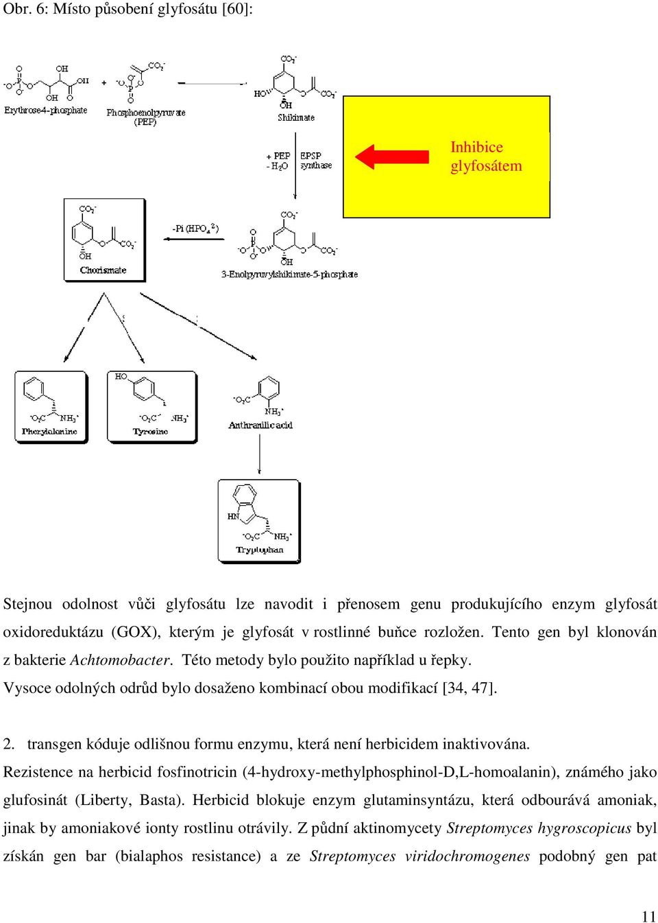 transgen kóduje odlišnou formu enzymu, která není herbicidem inaktivována. Rezistence na herbicid fosfinotricin (4-hydroxy-methylphosphinol-D,L-homoalanin), známého jako glufosinát (Liberty, Basta).