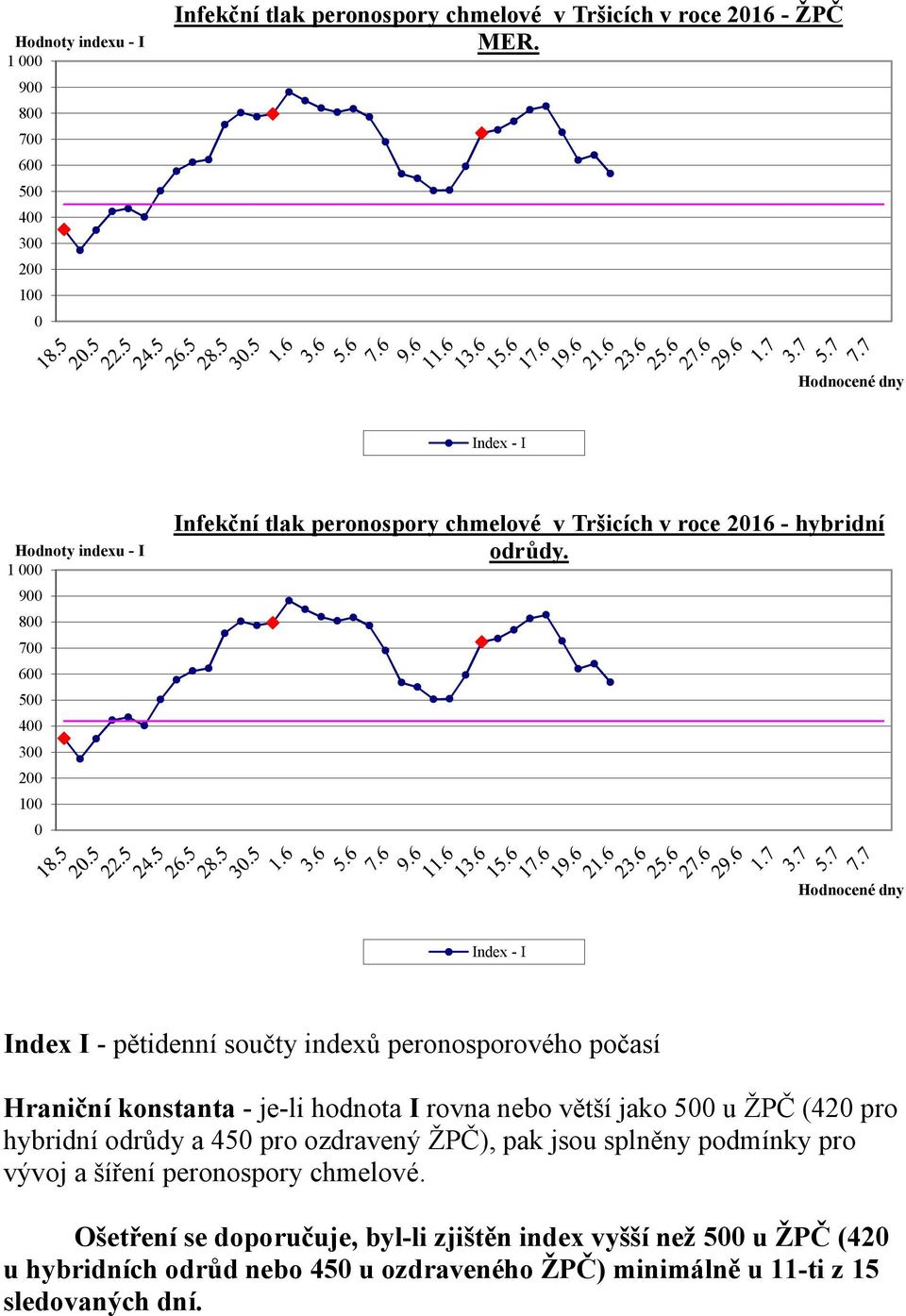 hybridní odrůdy a 45 pro ozdravený ŽPČ), pak jsou splněny podmínky pro vývoj a šíření peronospory chmelové.