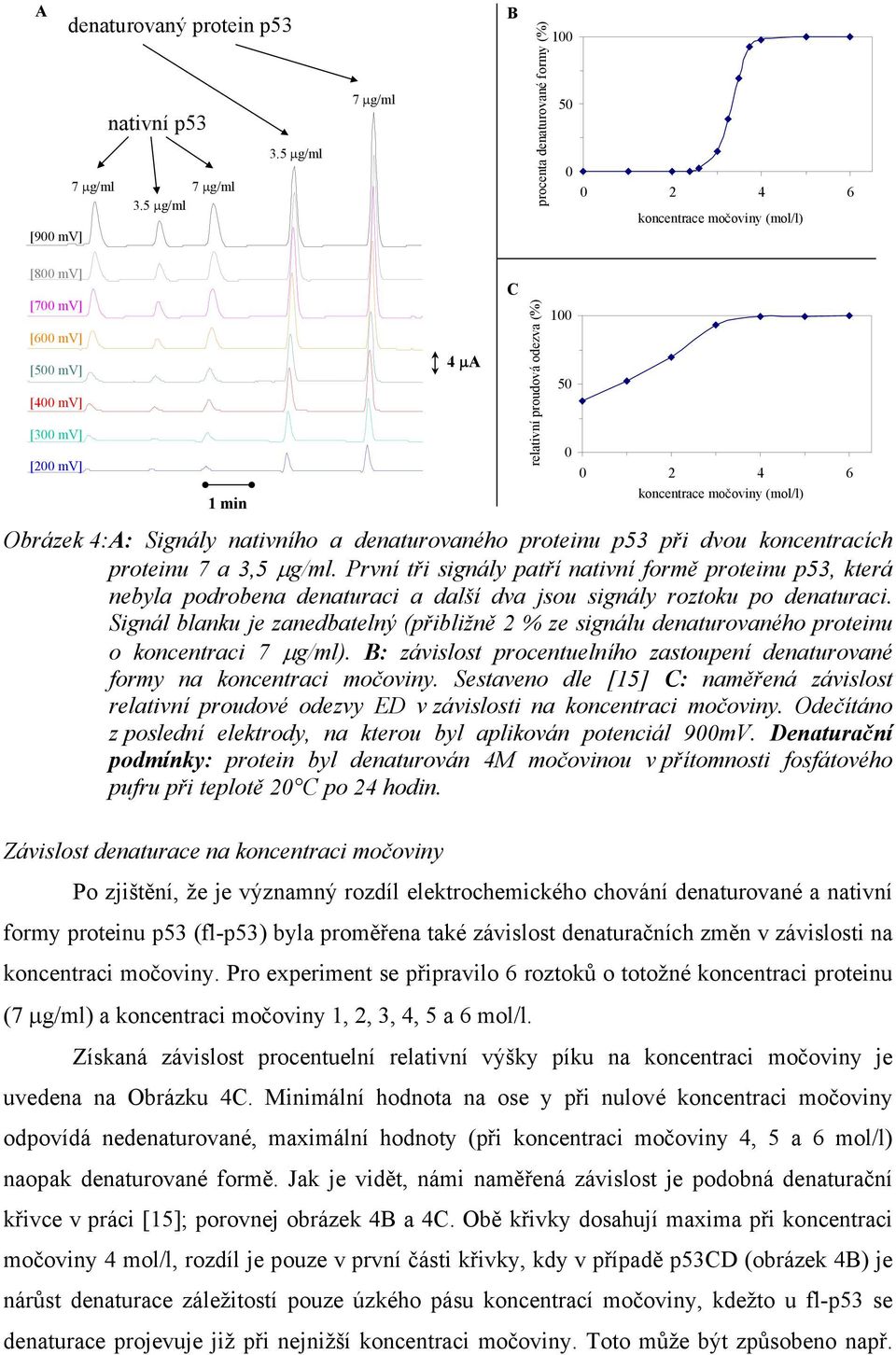 odezva (%) 100 50 0 0 2 4 6 1 min koncentrace močoviny (mol/l) Obrázek 4: A: Signály nativního a denaturovaného proteinu p53 při dvou koncentracích proteinu 7 a 3,5 µg/ml.