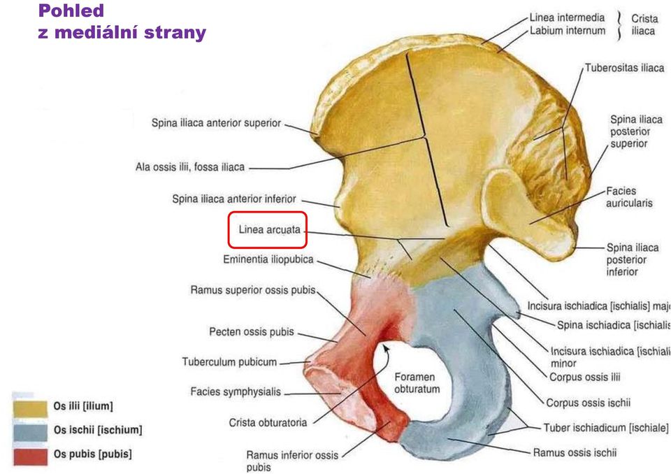 strany