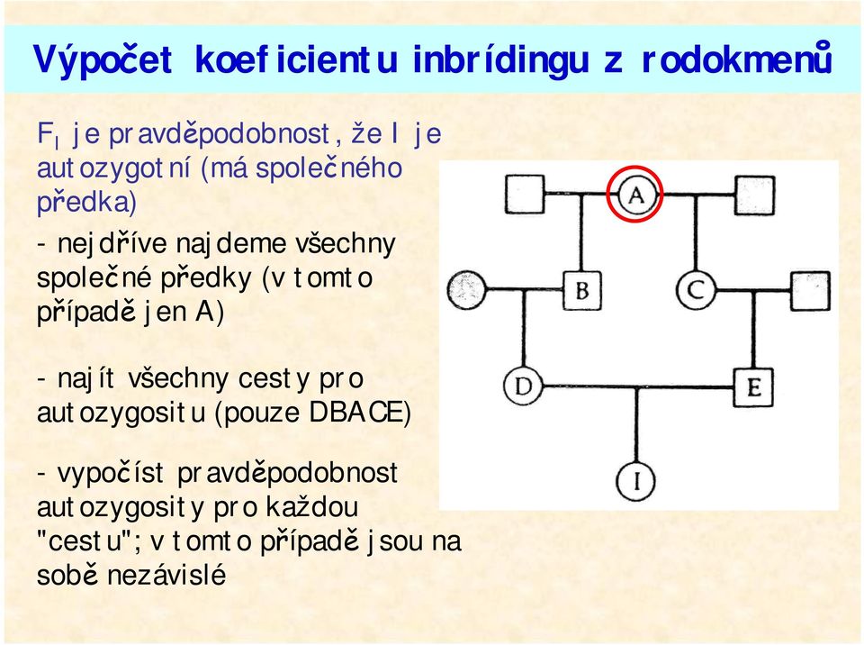 tomto případě jen A) -najít všechny cesty pro autozygositu (pouze DBACE)