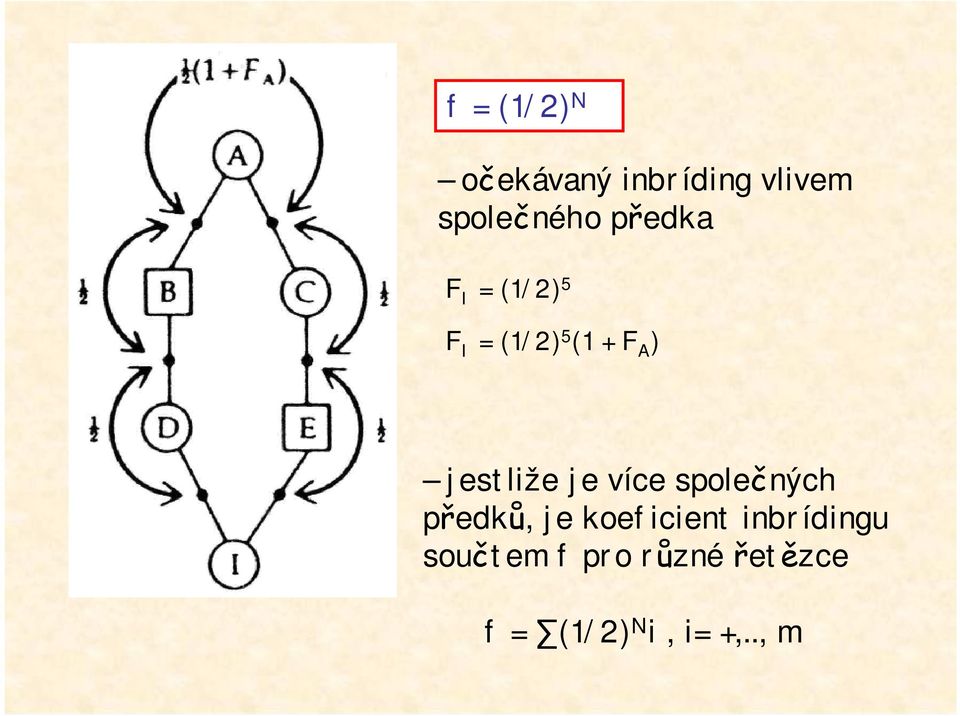 jestliže je více společných předků, je koeficient