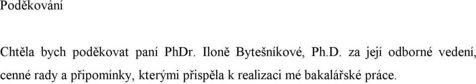 odborné vedení, cenné rady a připomínky,
