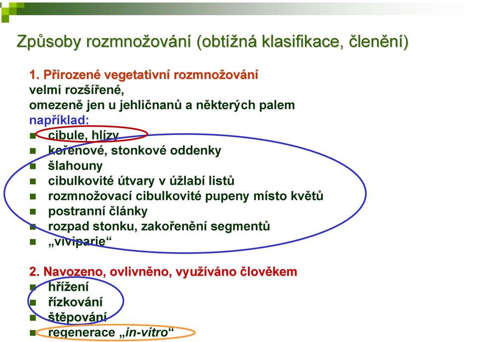 cibule, hlízy kořenové, stonkové oddenky šlahouny cibulkovité útvary v úžlabí listů rozmnožovací cibulkovité