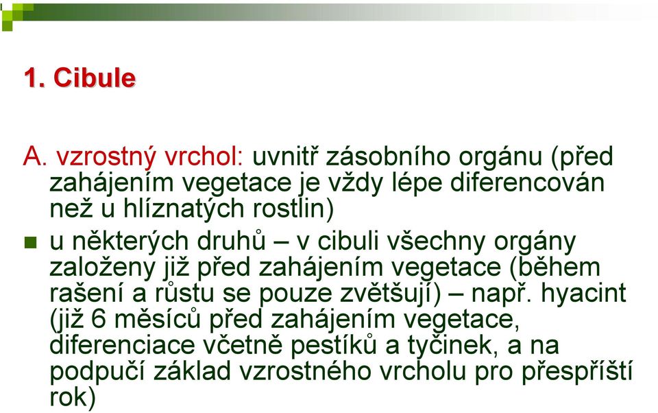 hlíznatých rostlin) u některých druhů v cibuli všechny orgány založeny již před zahájením vegetace