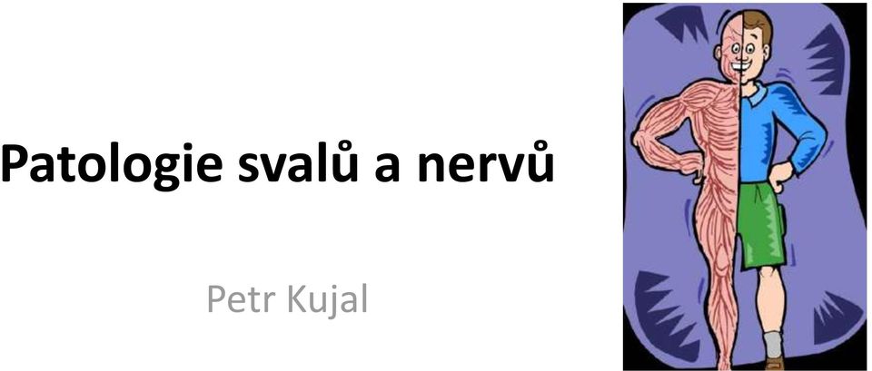 nervů