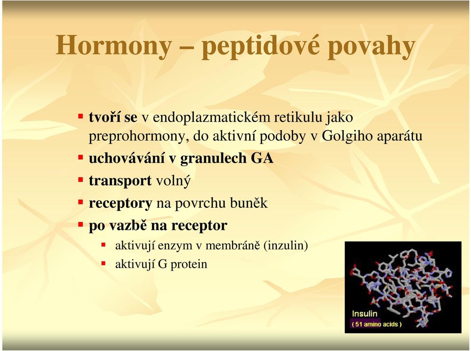 uchovávání v granulech GA transport volný receptory na povrchu