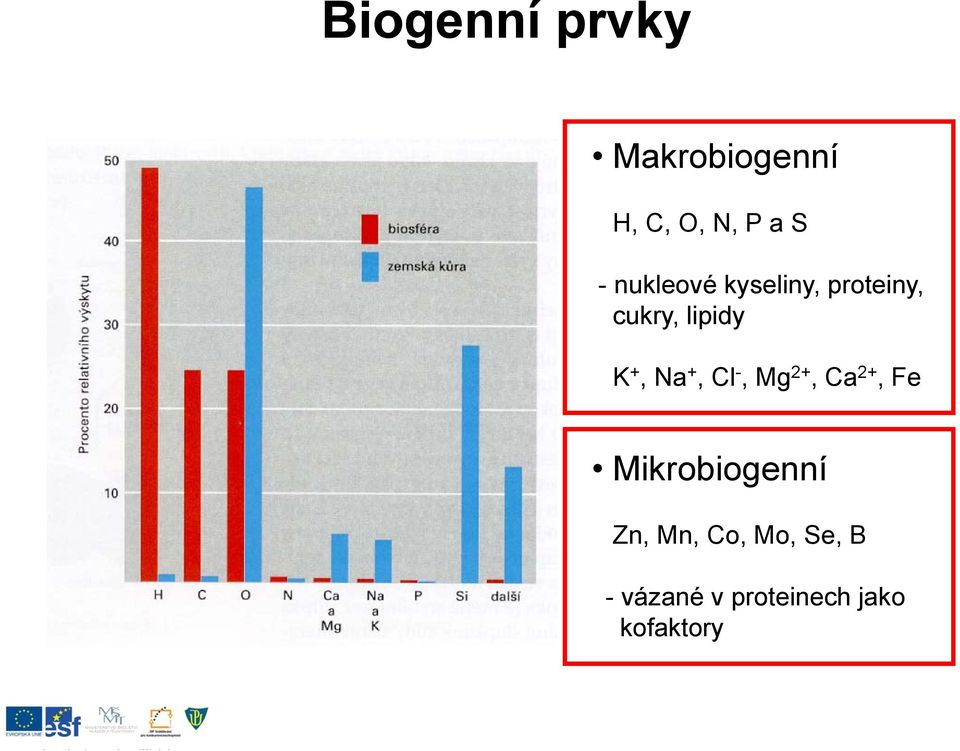 Na +, Cl -, Mg 2+, Ca 2+, Fe Mikrobiogenní Zn,