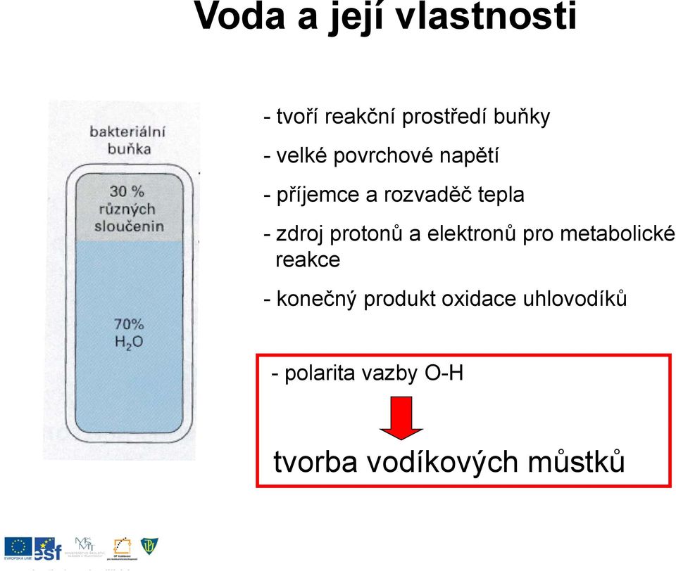 protonů a elektronů pro metabolické reakce - konečný