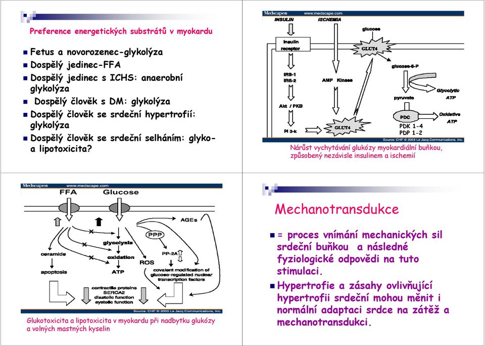 PDK 1-4 PDP 1-2 Nárůst vychytávání glukózy myokardiální buňkou, způsobený nezávisle insulinem a ischemií Mechanotransdukce Glukotoxicita a lipotoxicita v myokardu při nadbytku