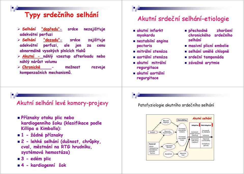 akutní infarkt myokardu nestabilní angina pectoris mitrální stenóza aortální stenóza akutní mitrální regurgitace akutní aortální regurgitace přechodné zhoršení chronického srdečního selhání masivní