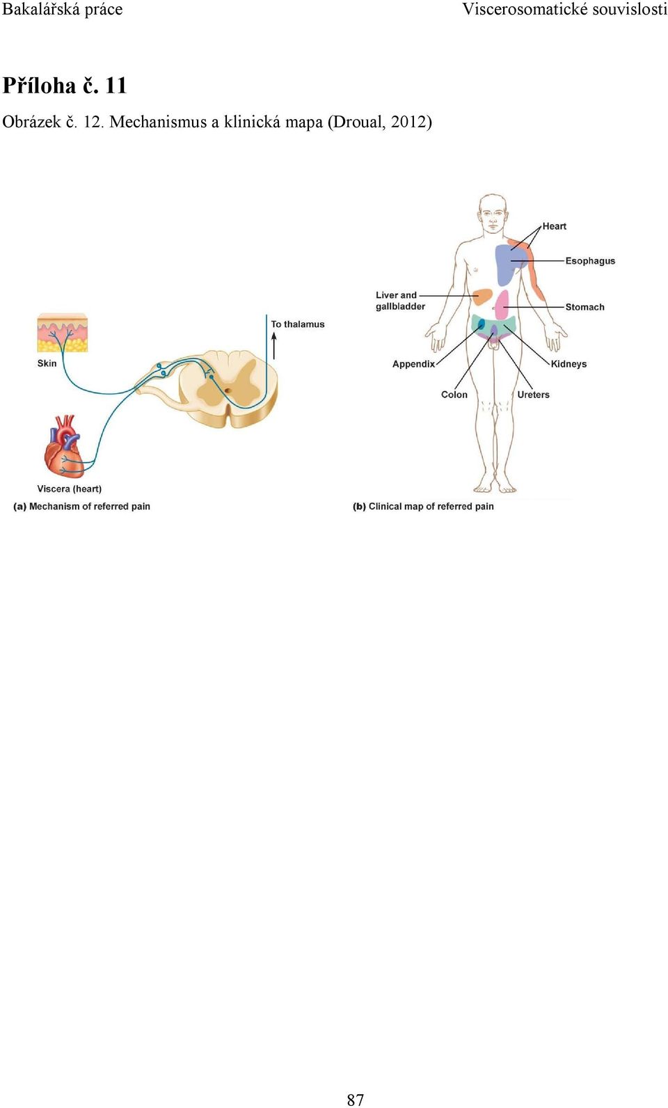 Mechanismus a