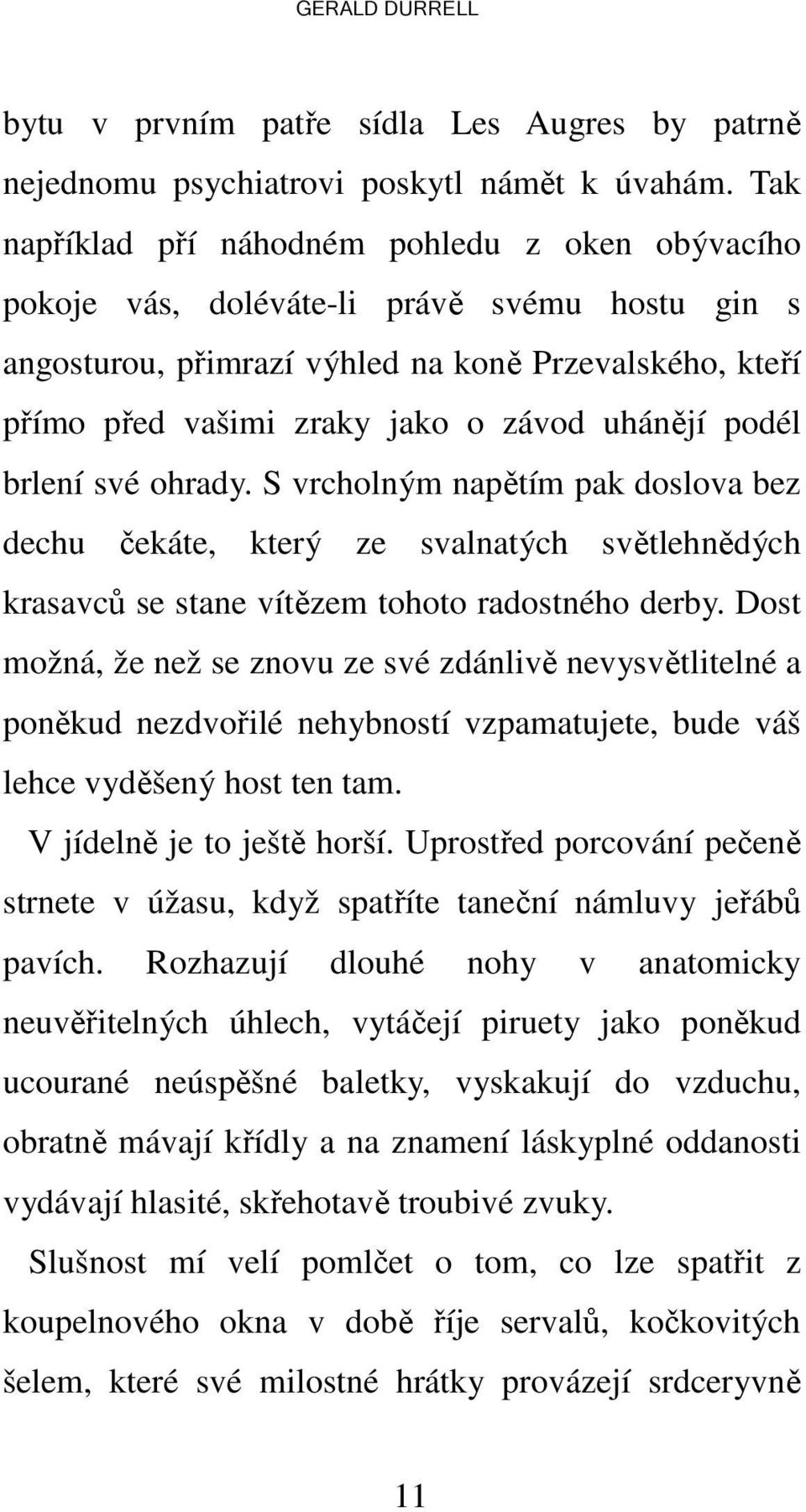 uhánějí podél brlení své ohrady. S vrcholným napětím pak doslova bez dechu čekáte, který ze svalnatých světlehnědých krasavců se stane vítězem tohoto radostného derby.