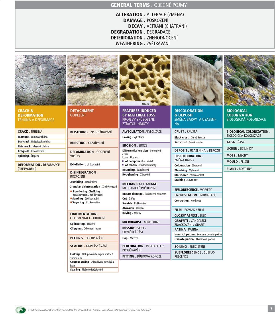 ColonizAtion BIOLOGICKÁ KOLONIZACE CrACK. TRHLINA Fracture. Lomová trhlina star crack. Hvězdicovitá trhlina Hair crack. Vlasová trhlina Craquele. Krakelování splitting. Štěpení DeForMAtion.