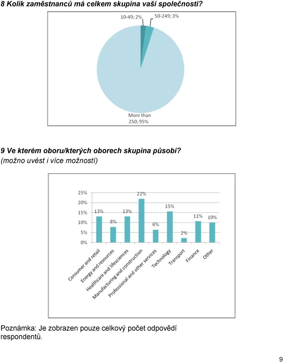 9 Ve kterém oboru/kterých oborech skupina působí?