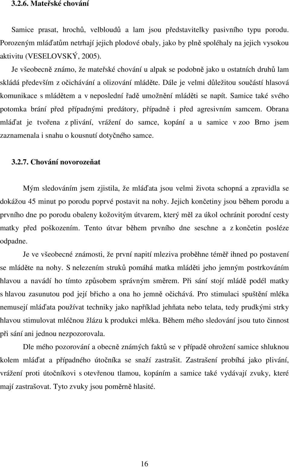 Je všeobecně známo, že mateřské chování u alpak se podobně jako u ostatních druhů lam skládá především z očichávání a olizování mláděte.