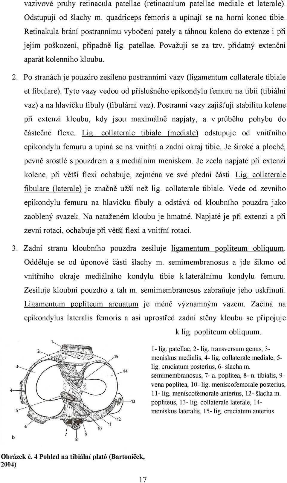 Po stranách je pouzdro zesíleno postranními vazy (ligamentum collaterale tibiale et fibulare).