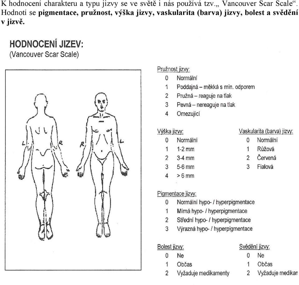Hodnotí se pigmentace, pružnost, výška jizvy,