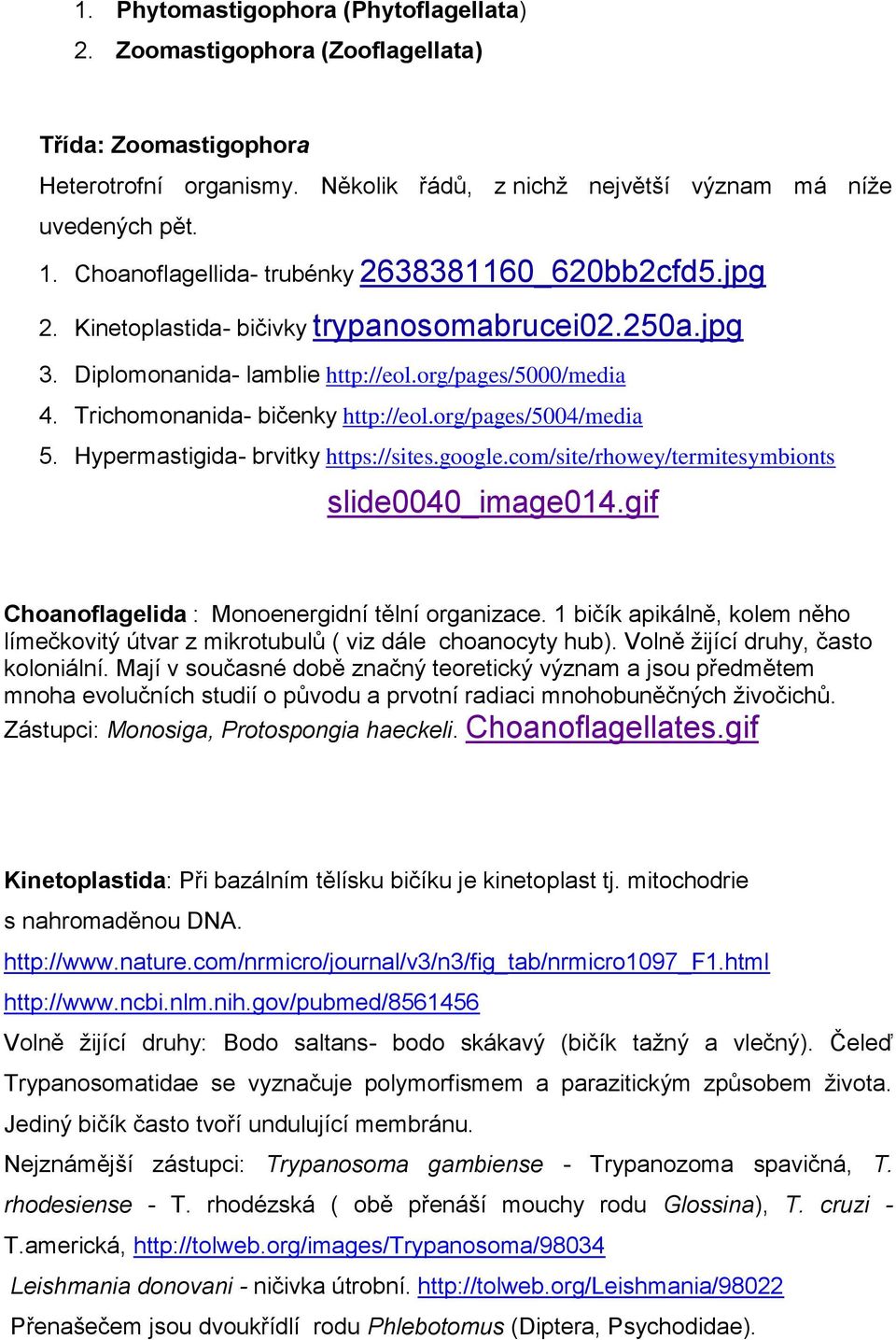Trichomonanida- bičenky http://eol.org/pages/5004/media 5. Hypermastigida- brvitky https://sites.google.com/site/rhowey/termitesymbionts slide0040_image014.