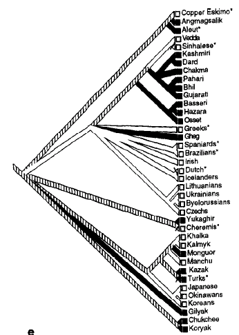 Evoluce a ekologie manželství fylogeneze: vznik patrilinearity ~ přechod k polygynii (v 8 jazykových velkorodinách je vždy ancestrální dědění ve prospěch mužů [bez hvězdičky] a obvykle i polygynie