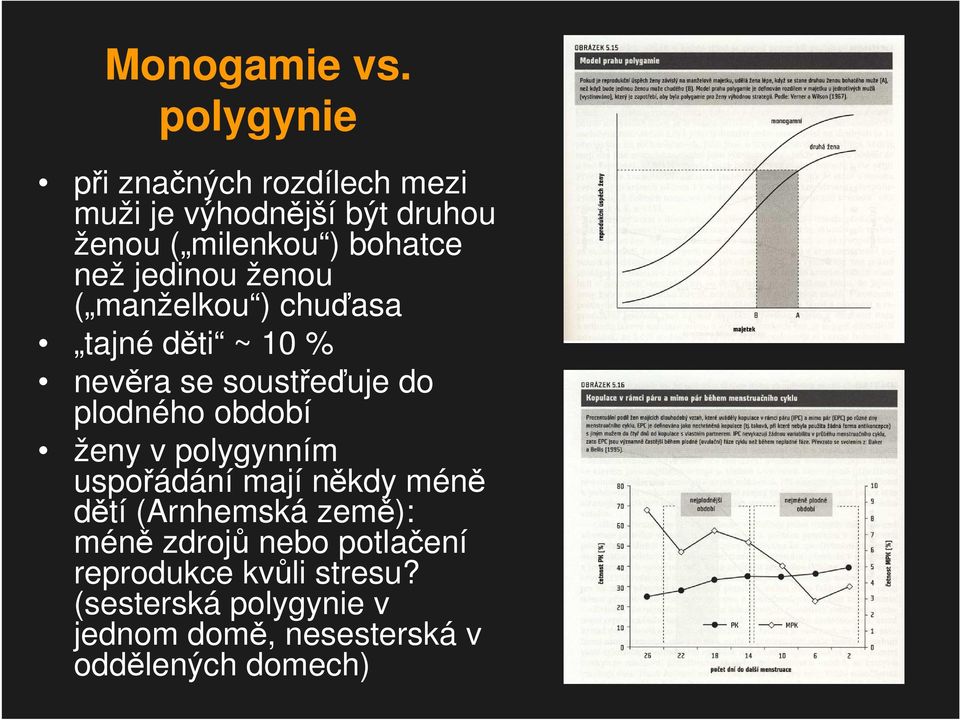 jedinou ženou ( manželkou ) chuďasa tajné děti ~ 10 % nevěra se soustřeďuje do plodného období