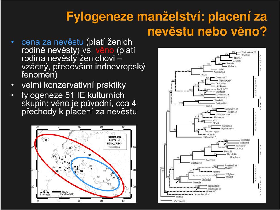 věno (platí rodina nevěsty ženichovi vzácný, především indoevropský