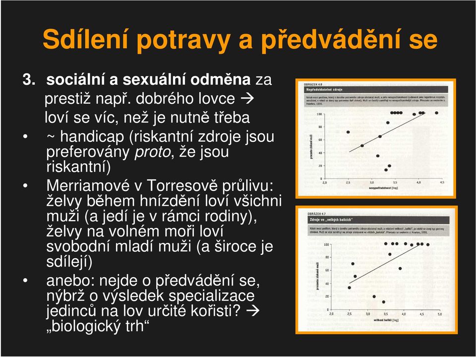 Merriamové v Torresově průlivu: želvy během hnízdění loví všichni muži (a jedí je v rámci rodiny), želvy na volném