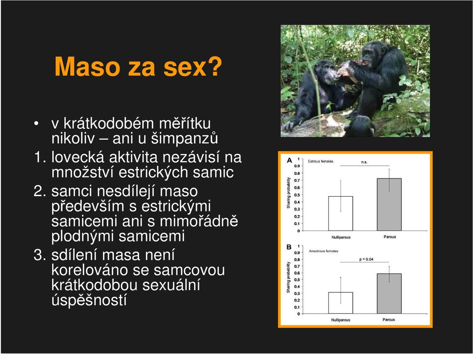 samci nesdílejí maso především s estrickými samicemi ani s mimořádně