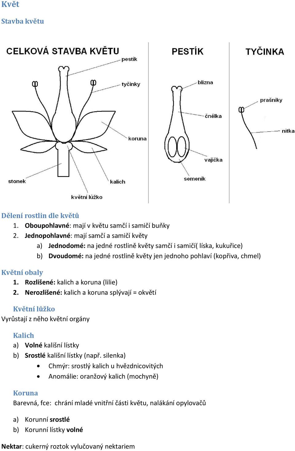 chmel) Květní obaly 1. Rozlišené: kalich a koruna (lilie) 2.