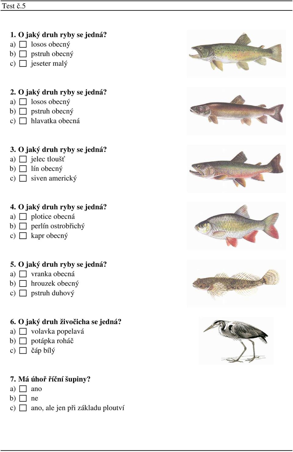 a) plotice obecná b) perlín ostrobřichý c) kapr obecný 5. O jaký druh ryby se jedná? a) vranka obecná b) hrouzek obecný c) pstruh duhový 6.