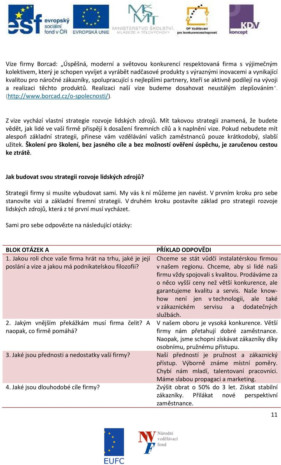 borcad.cz/o-spolecnosti/). Z vize vychází vlastní strategie rozvoje lidských zdrojů.