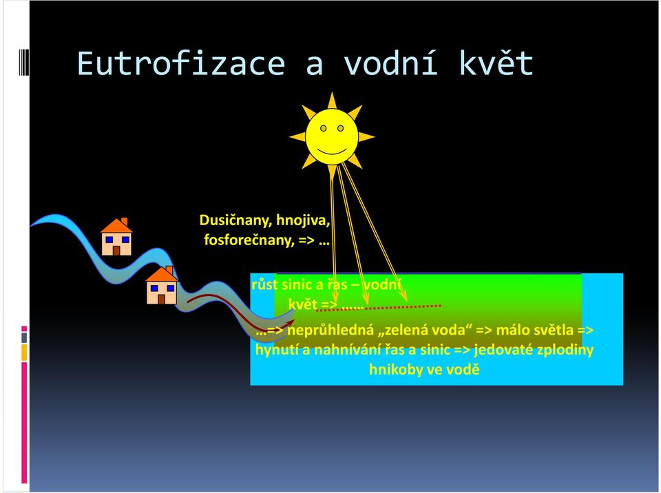 neprůhledná zelená voda => málo světla => hynutí a