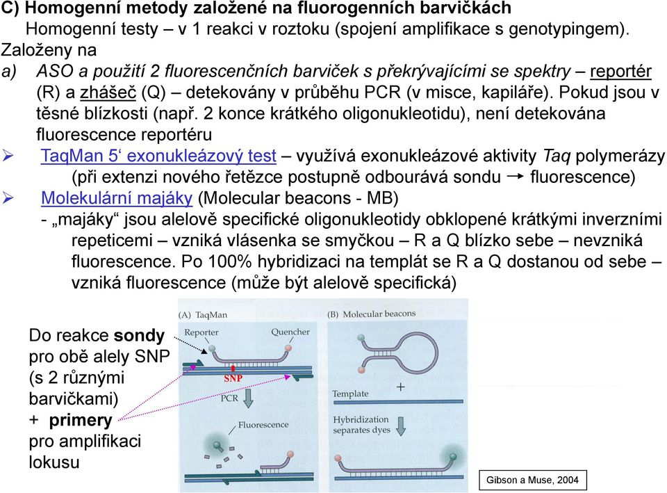 2 konce krátkého oligonukleotidu), není detekována fluorescence reportéru TaqMan 5 exonukleázový test využívá exonukleázové aktivity Taq polymerázy (při extenzi nového řetězce postupně odbourává