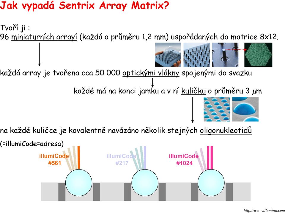 každá array je tvořena cca 50 000 optickými vlákny spojenými do svazku každé má na konci jamku a v ní kuličku