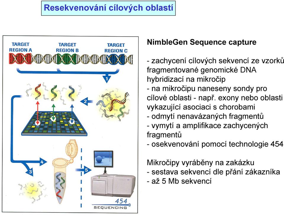 exony nebo oblasti vykazující asociaci s chorobami - odmytí nenavázaných fragmentů - vymytí a amplifikace