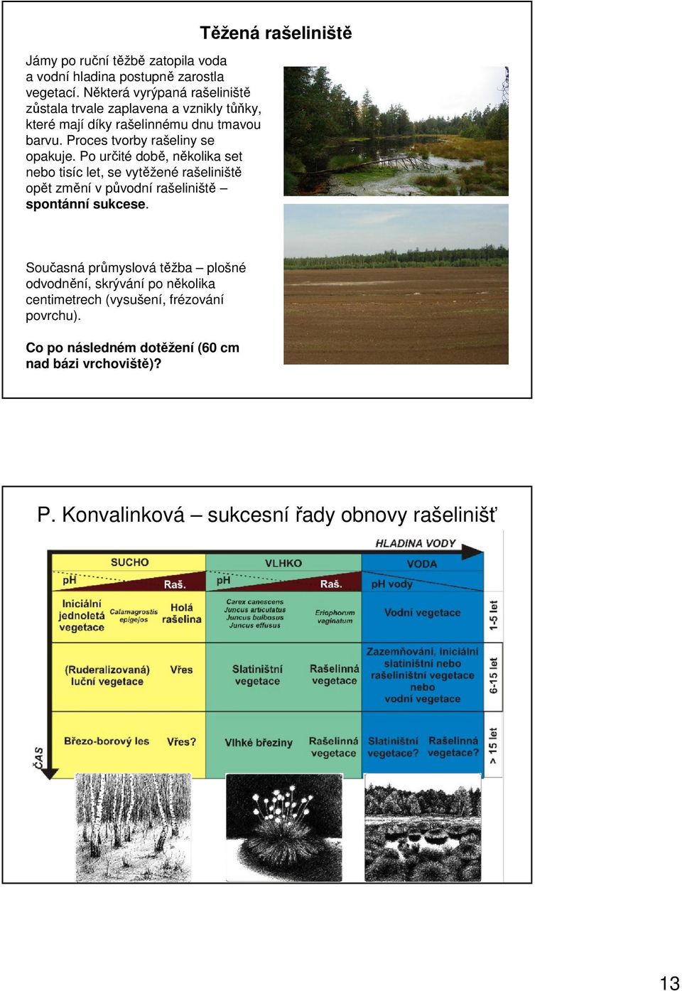 Proces tvorby rašeliny se opakuje.